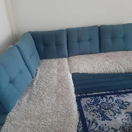 Apartment Haluge *